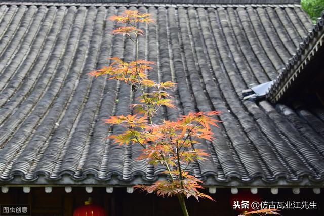 導讀:農(nóng)村蓋房用樹脂瓦適合嗎?聽完行家的分析,恍然大悟